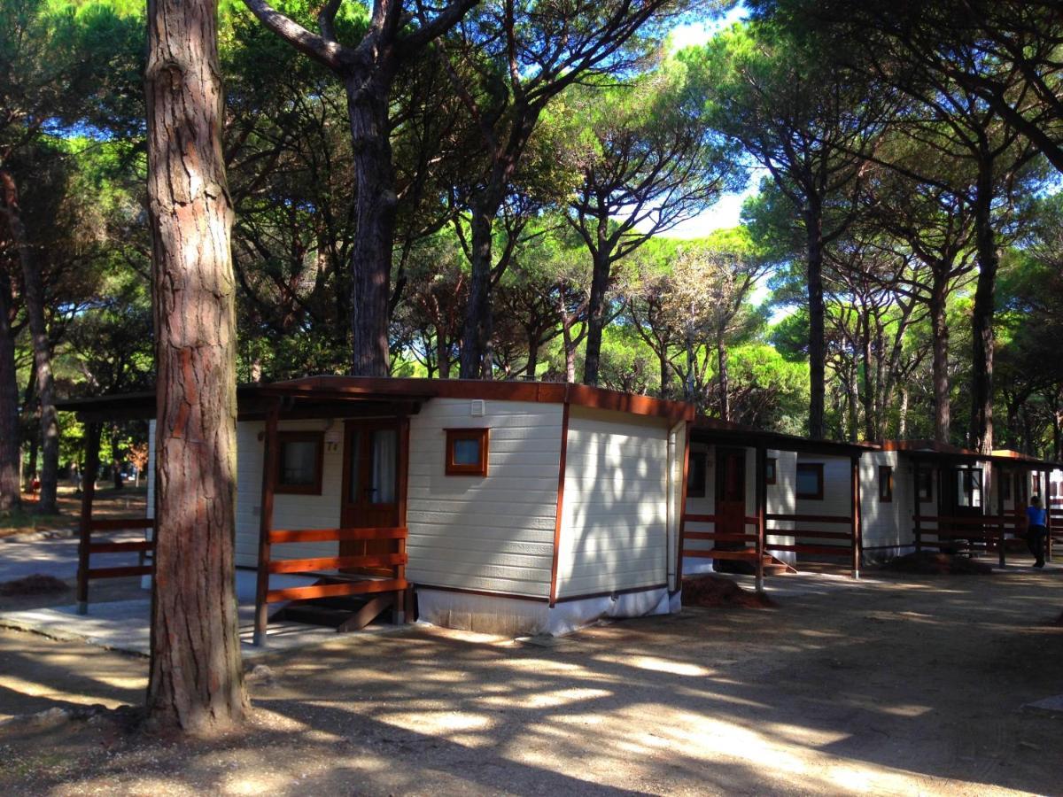 Buona Mobile Homes On Camping Mare E Pineta リド・ディ・スピーナ エクステリア 写真