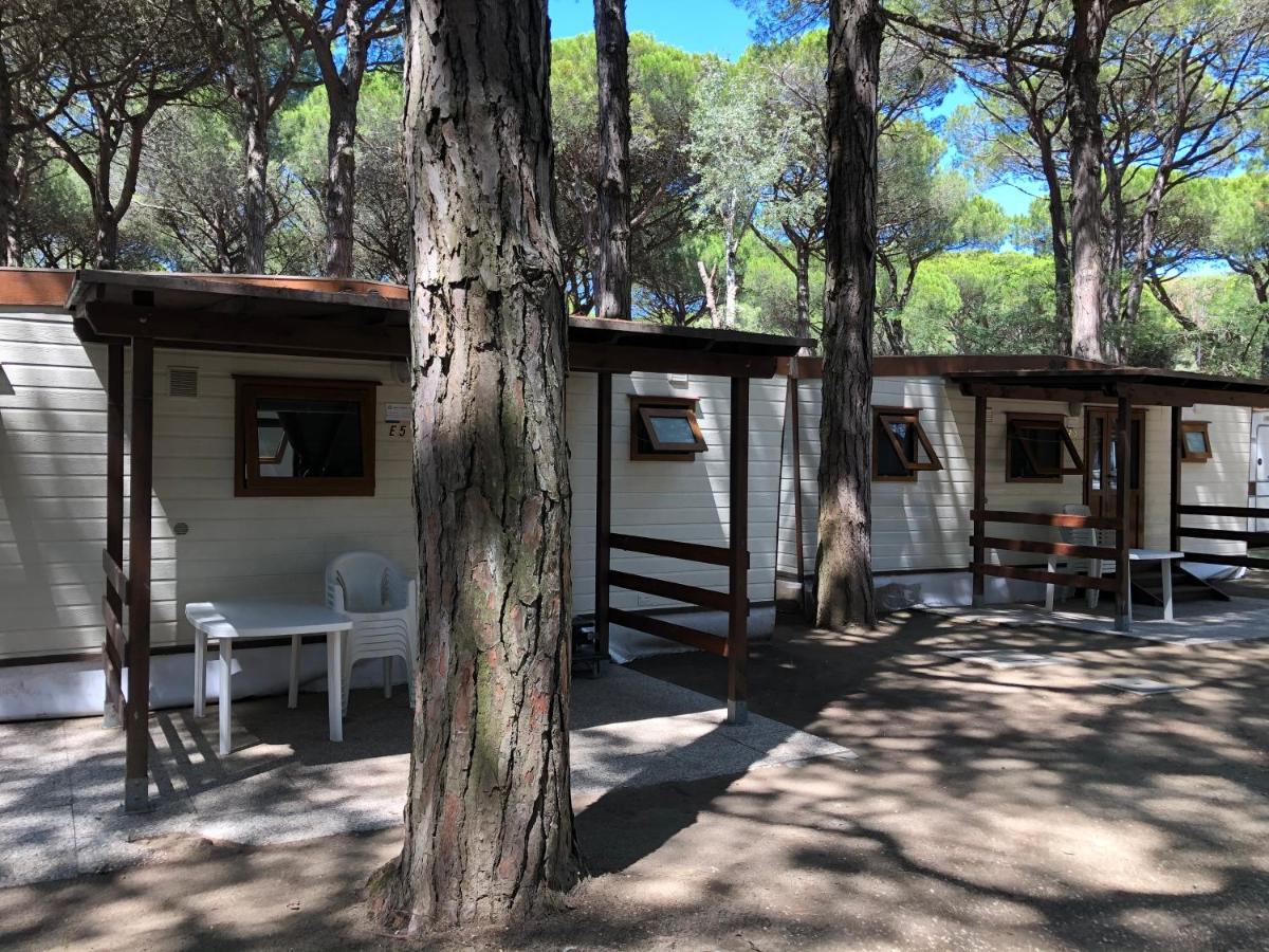 Buona Mobile Homes On Camping Mare E Pineta リド・ディ・スピーナ エクステリア 写真
