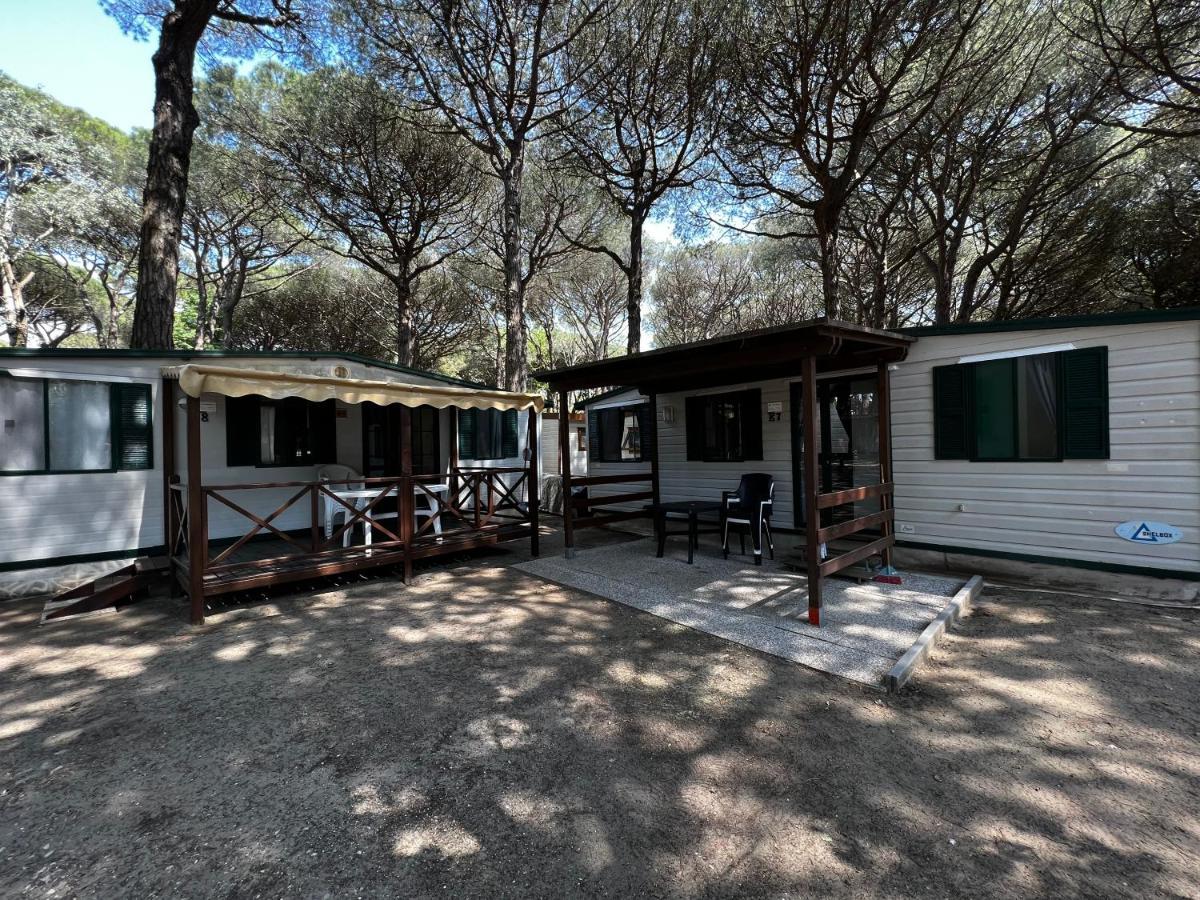 Buona Mobile Homes On Camping Mare E Pineta リド・ディ・スピーナ エクステリア 写真